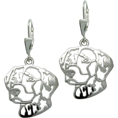 Strieborne Tlapky Dalmatínec strieborné náušnice 324