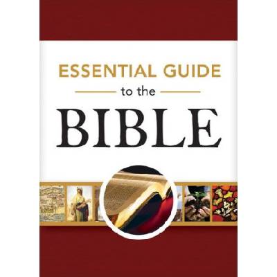 Book: Bible Overview - Hardcover | Rose Publishing