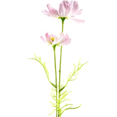 Florissima! Kytička krasuľka ružová 45 cm - Florissima