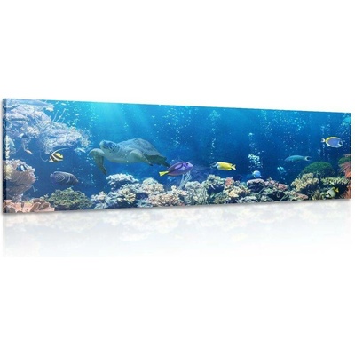 Obraz tropické rybky - 135x45