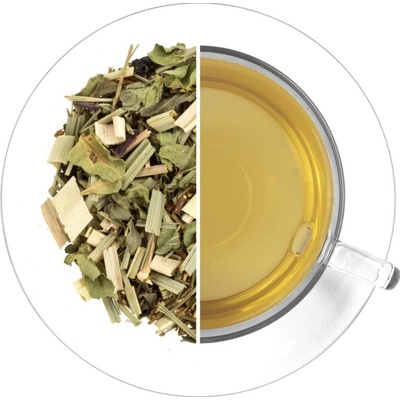 Hugo Ledový čaj Rooibos Bezinka 70 g