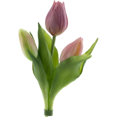 Tulipán x3 Sally' svazek růžový V16 cm