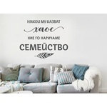  Хаос. . . Семейство (13069)