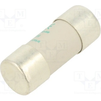 SCHNEIDER ELECTRIC DF2FA125 Pojistka: tavná; aM; 125A; 400VAC; keramická; 22x58mm