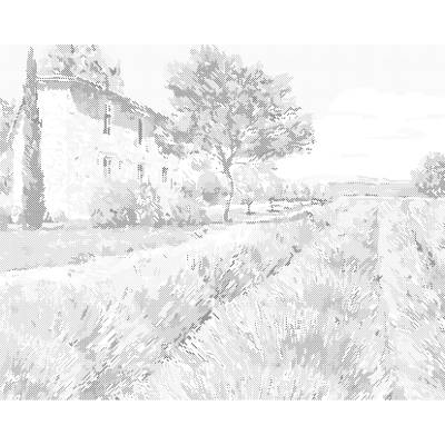 ZUTY Bodkovanie - LEVANDUĽOVÉ POLE I Rámovanie: bez rámu a bez vypnutia plátna, Rozmer: 40x50 cm