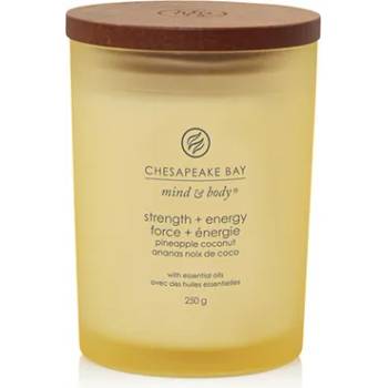 Image 1 of Chesapeake Bay Strength + Energy ароматна свещ 250 гр