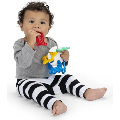 Baby Einstein hryzačka Ocean Explorers Sea of Sensory T 13158-6