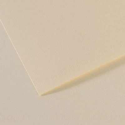 Canson Mi-Teintes barevný papír 21 x 29,7 cm A4 48 odstínů 110 Lily