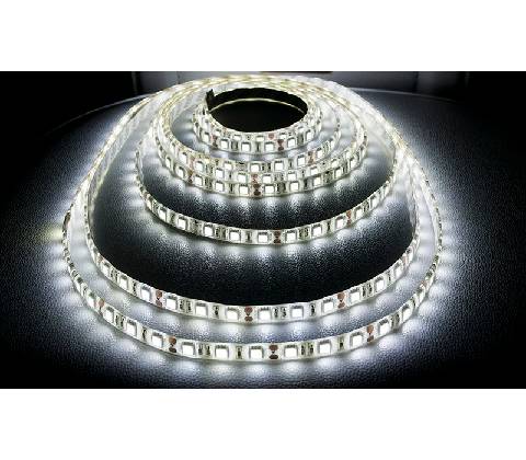ECOLIGHT EC79366