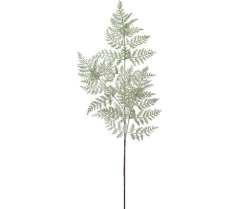 KONÁR PAPRAĎ 75CM
