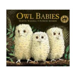 Owl Babies (ISBN: 9781406374377)