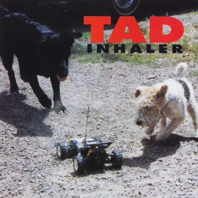 Tad: Inhaler LP