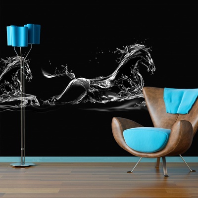Tapeta SABLIO Vodní kůň, rozměry 208x125 cm
