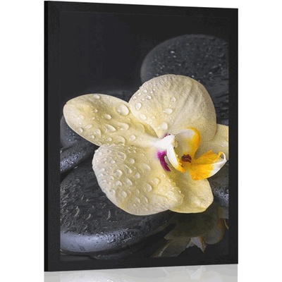 Plakát Zen kameny se žlutou orchidejí - 20x30 silver