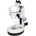 Levenhuk Microscop 5ST (35321)