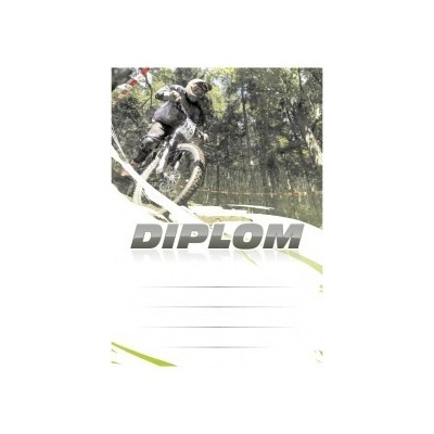 Diplom 6646