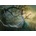Cobble Hill - Puzzle Melanie Delon: Rapture - 1 000 piese
