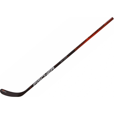 Fischer RC ONE IS4 sr
