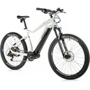 Leader Fox Swan 1 2023