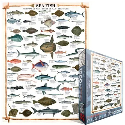 EUROGRAPHICS - Puzzle Sea fish - 1 000 piese