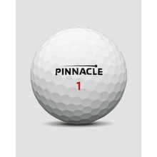 Pinnacle Rush 2024 bílé 15 ks