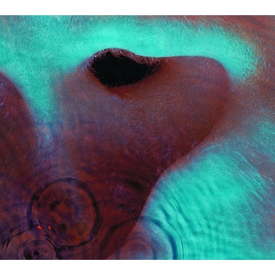 Pink Floyd - Meddle (CD) (0888751708921)