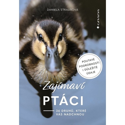 Zajímaví ptáci