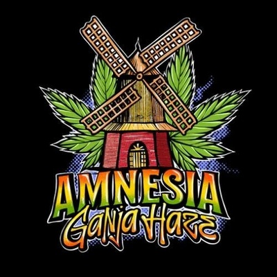 Sumo Seeds Amnesia Ganja Haze semena neobsahují THC 3 ks