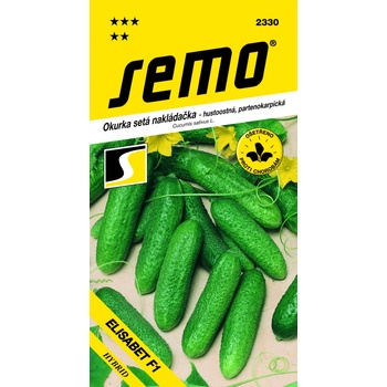 UHORKY nakladačky jemnobradavičnaté Elisabeth F1