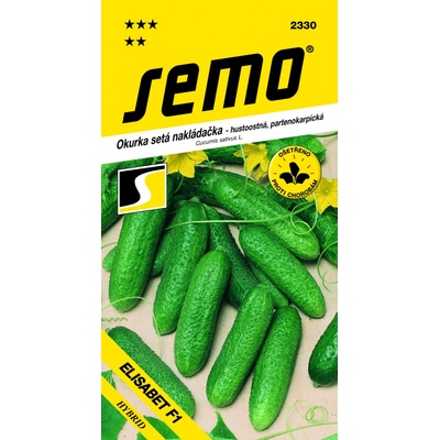 UHORKY nakladačky jemnobradavičnaté Elisabeth F1