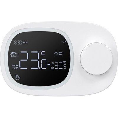 AVATTO WT598 WiFi Smart Gas