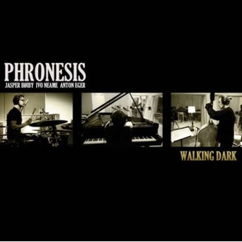 Phronesis - Walking Dark
