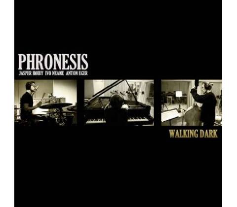Phronesis - Walking Dark