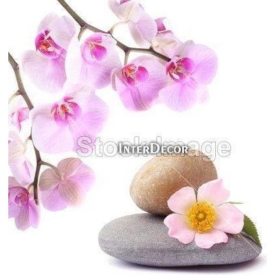Orchidej s kameny 1 deska 16x16