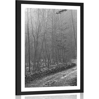 Plakát s paspartou černobílá cestička do lesa - 40x60 white