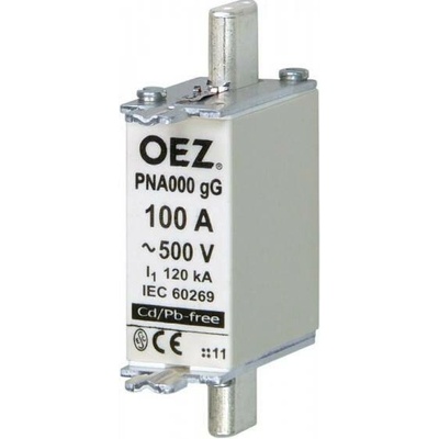 OEZ LETOHRAD POJISTKA PNA000 40A gG OEZ 40484