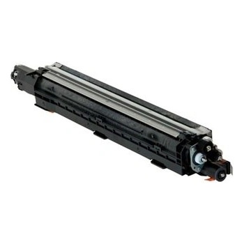 Ricoh D1863072 - originální