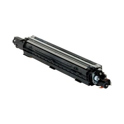 Ricoh D1863072 - originální