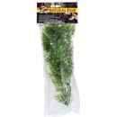 Zoo Med Australian Maple 36 cm