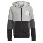 Adidas U CB FZ HOODIE (HN8564) Юношески Суичър