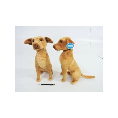 Dubi Sitting pointer 44cm