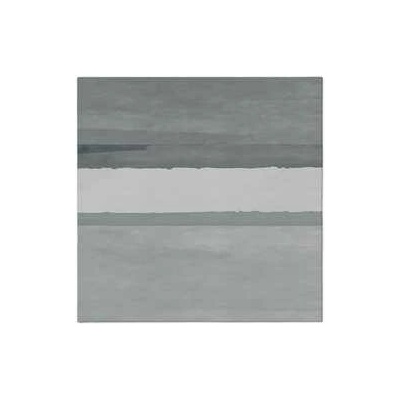 Paw Airlaid obrúsky Fluid grey 50ks 40x40cm