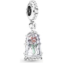 Pandora 790024C01
