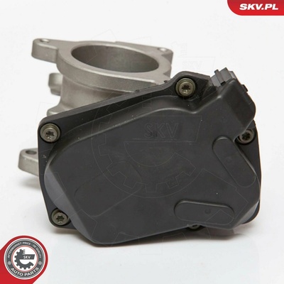 AGR-Ventil ESEN SKV 14SKV083
