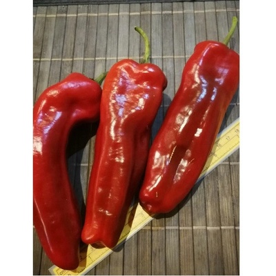 Capia Hungarian Red 19-CA11-17-1 (chilli semena) 1 ks