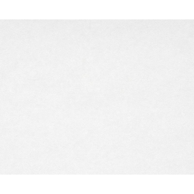 A.S. Création 865519 přetíratelné tapety na zeď Meistervlies Protect 4 rozměry 0,75 x 25 m