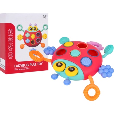 RKToys Multifunkční beruška pro nejmenší