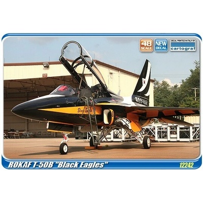 Academy Rokaf T-50B Black Eagles 1:48