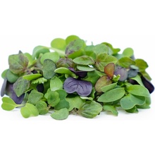 Toraf Microgreens, semínka na klíčky - Směs čínská 40g