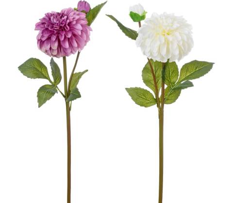 KS DALIA 2F 46cm